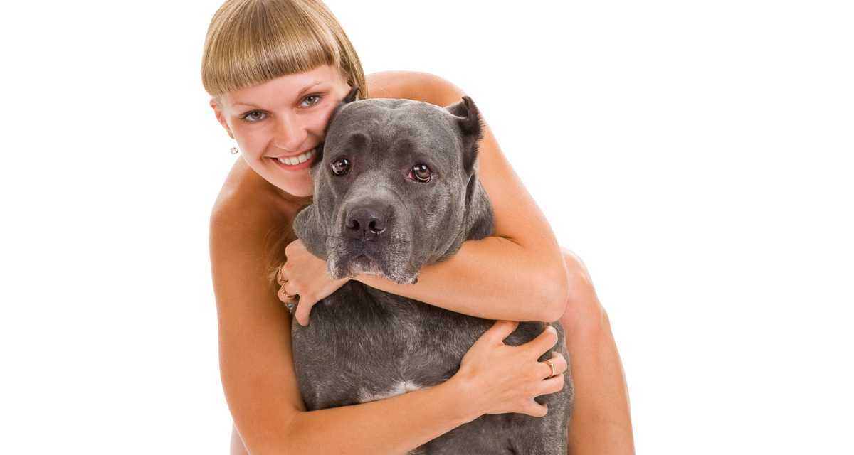 Kutya idézetek 100 Legjobb kutya idézetek